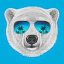 IceBear.jpg